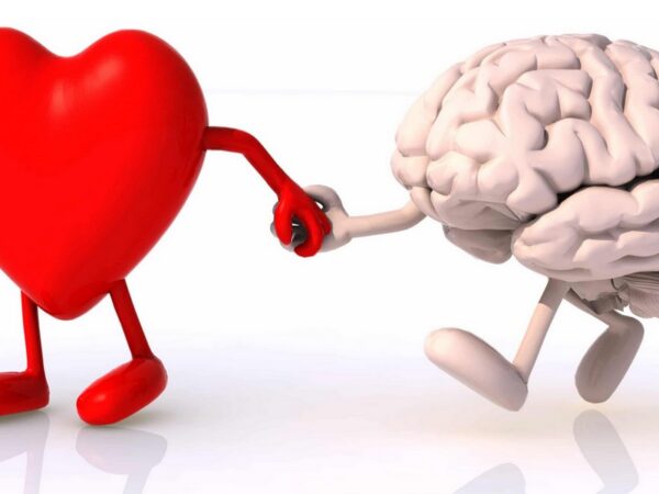 Inteligência emocional